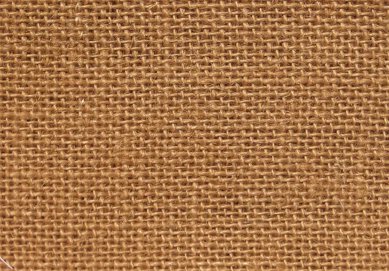 �鲼��������-������