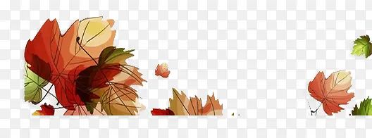 �ֻ��Ҷ-������