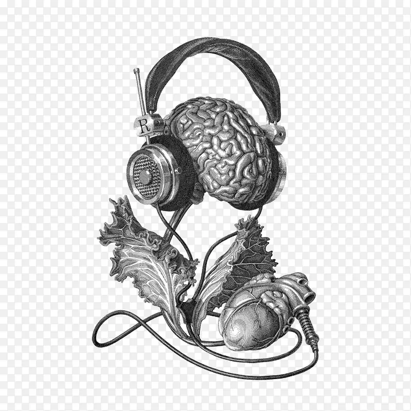 �ֻ�-������