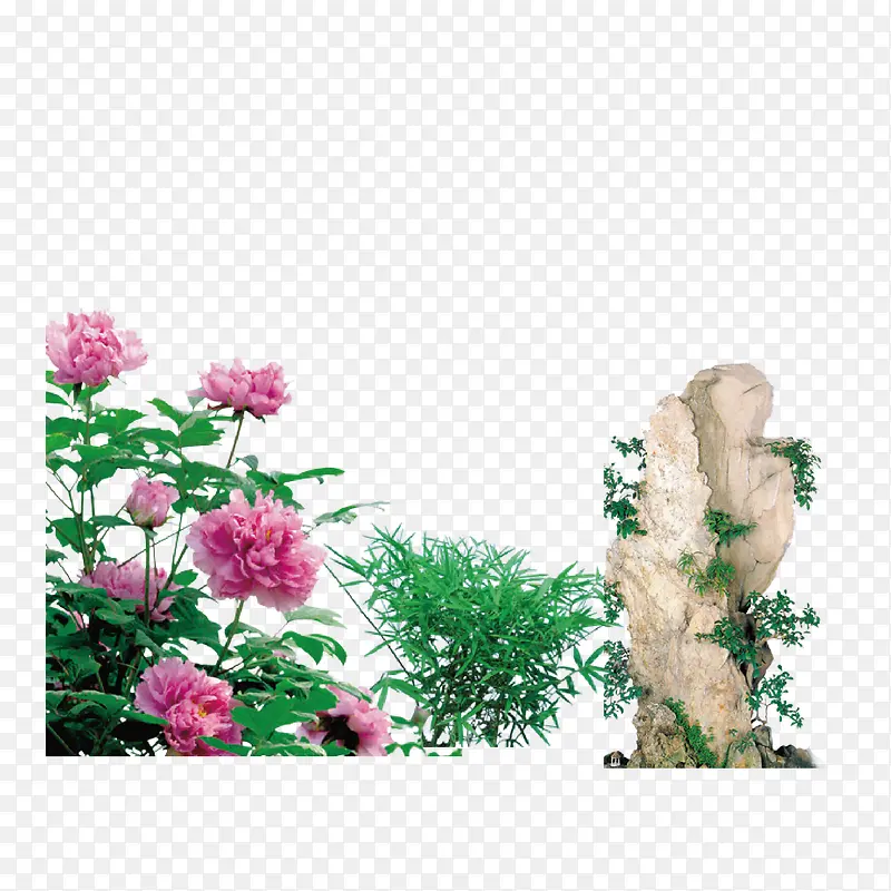 �ʻ���ʯ�ݴ��ز�-������