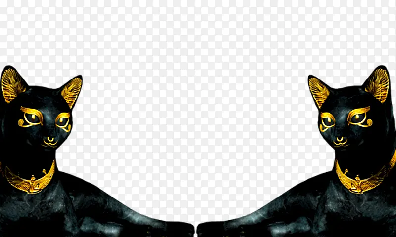 ����è-������