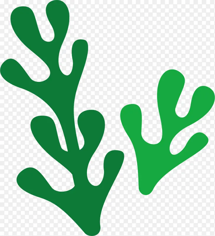 ���纣�������꺣��-������