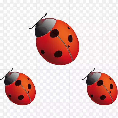 ���Ĳ���������ֽ-j-������