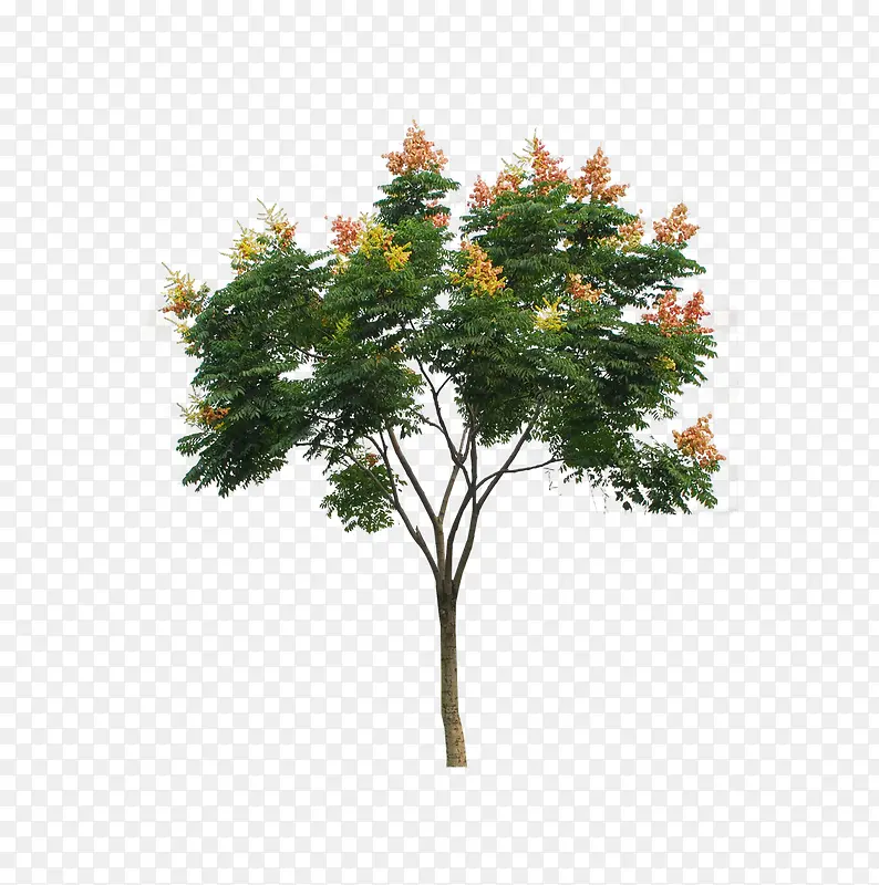 ���µ���-������