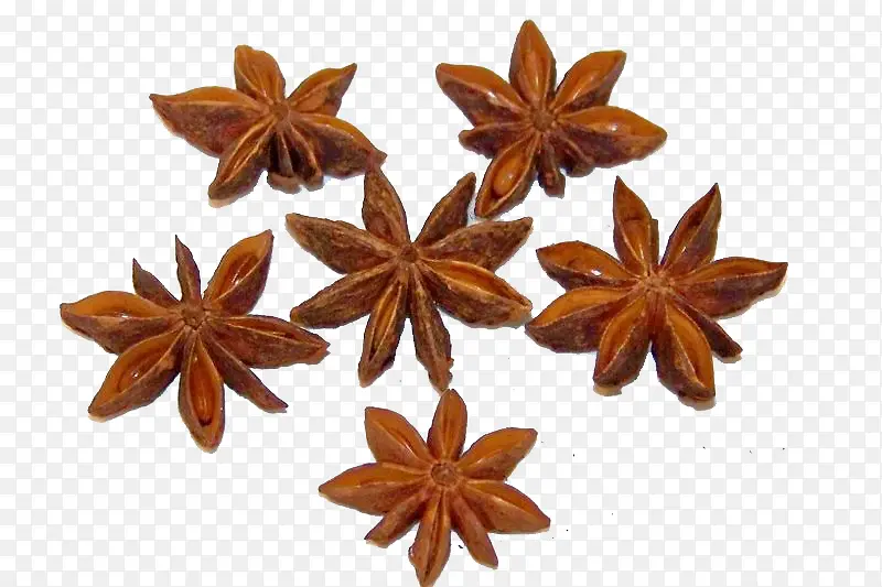 �˽�-������