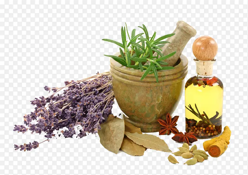 ����ʳ����Ԫ��-������