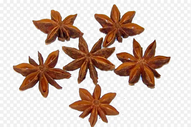 �˽�����-������