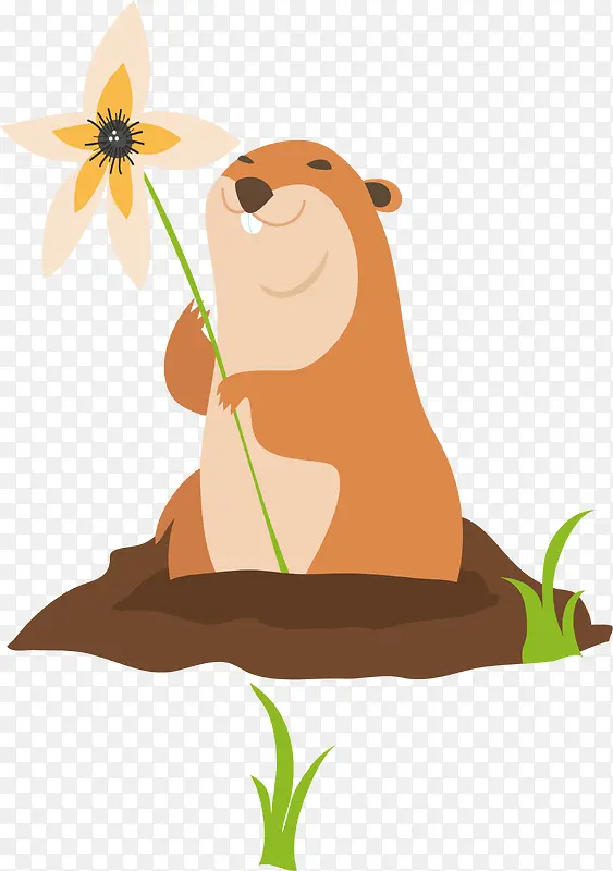 �ֻ�������-������