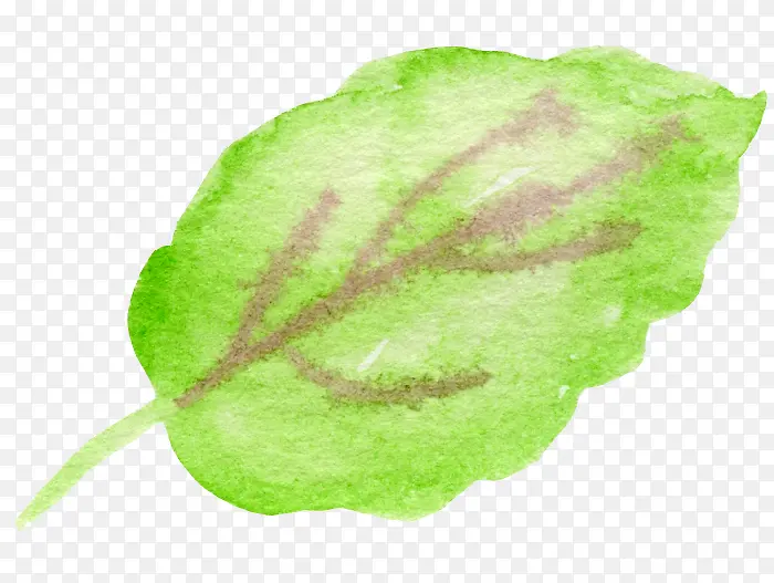 Ҷ��ˮ�ʵ�����ˬҶ��-������