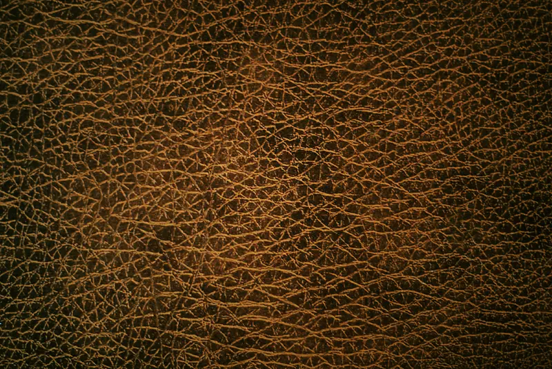 װ��Ƥ�ʲ�����д����-������