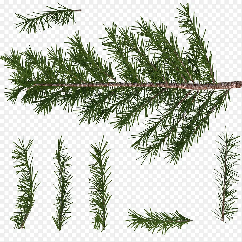 �����ͷ�֧-������