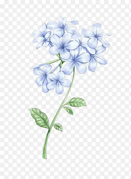 �ֻ�������-������