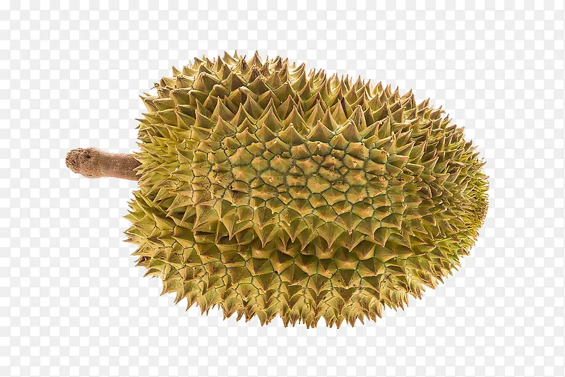 ������д-������