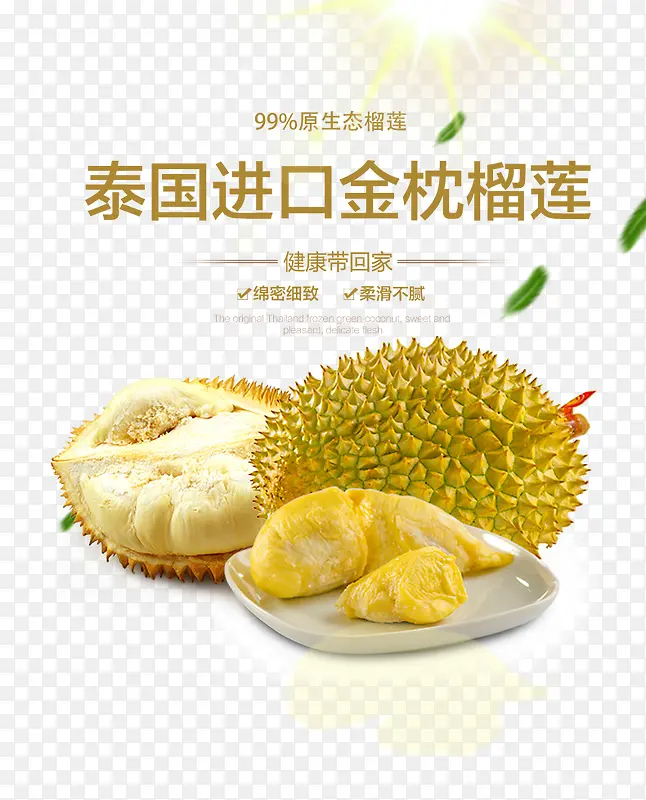 ̩�����ڽ�������-������