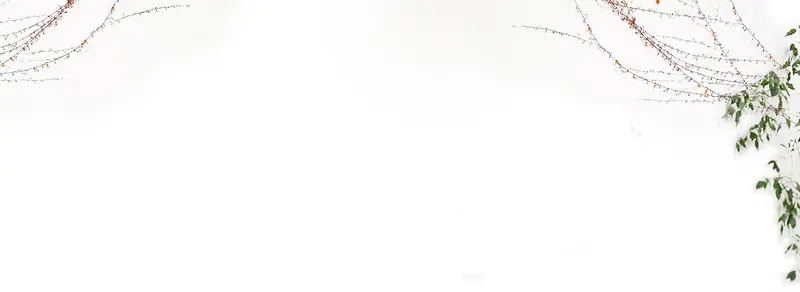 ��ɫ����-������