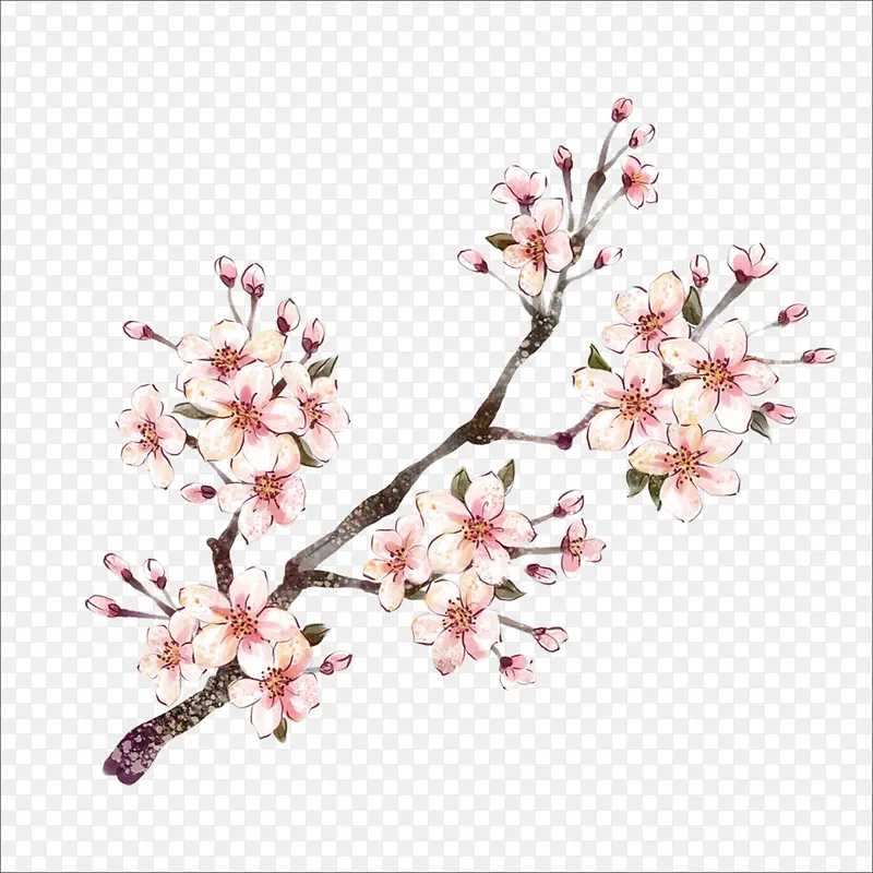 ÷��-������