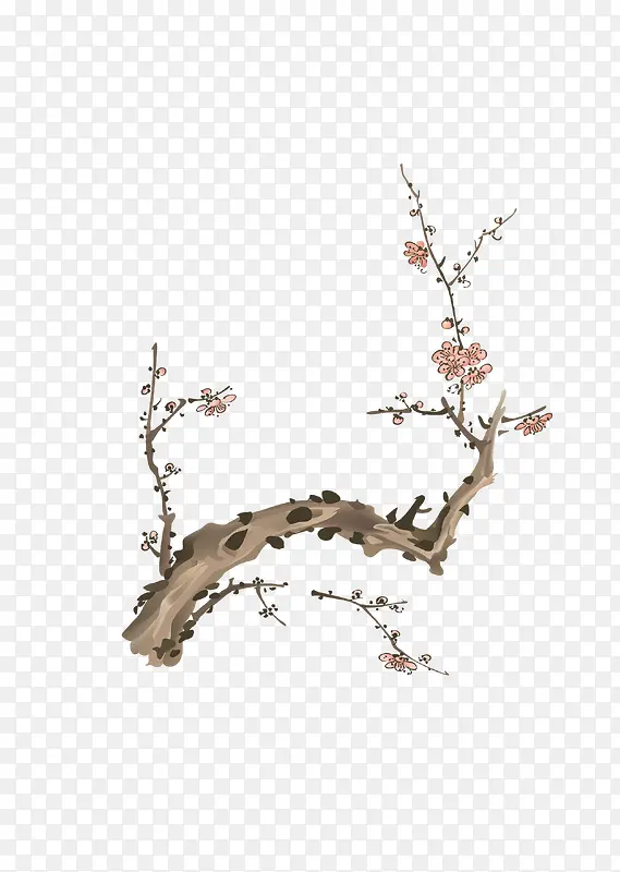 ÷����֦�ز�-������