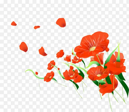 ���ܱ����زĻ����ز�-������