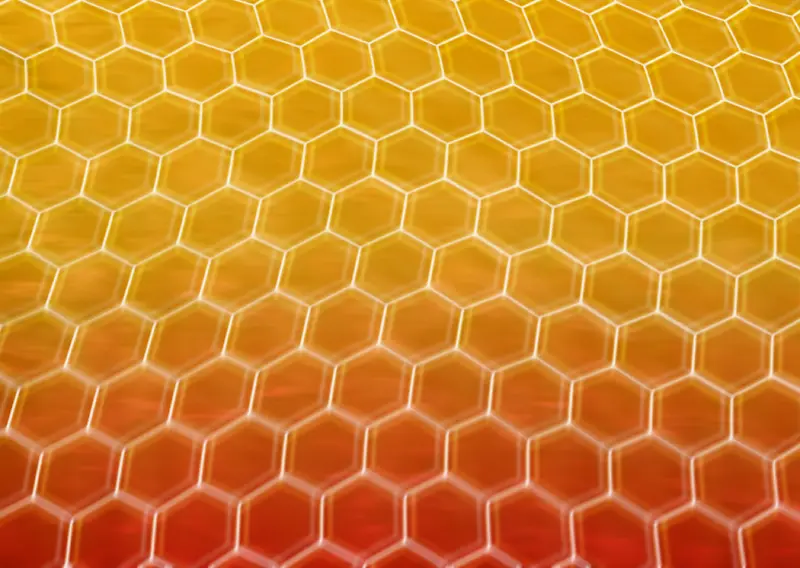 IT�����ز�134-������