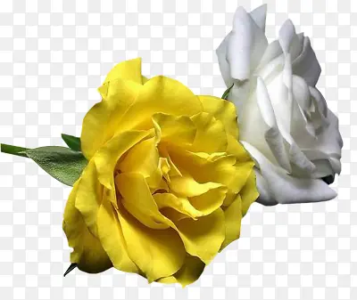 ˮ�ʻ����زĿ�ͨװ���ز�-������