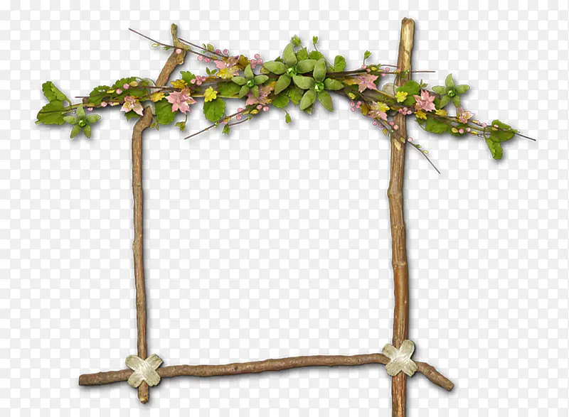 ��֦����߿�-������