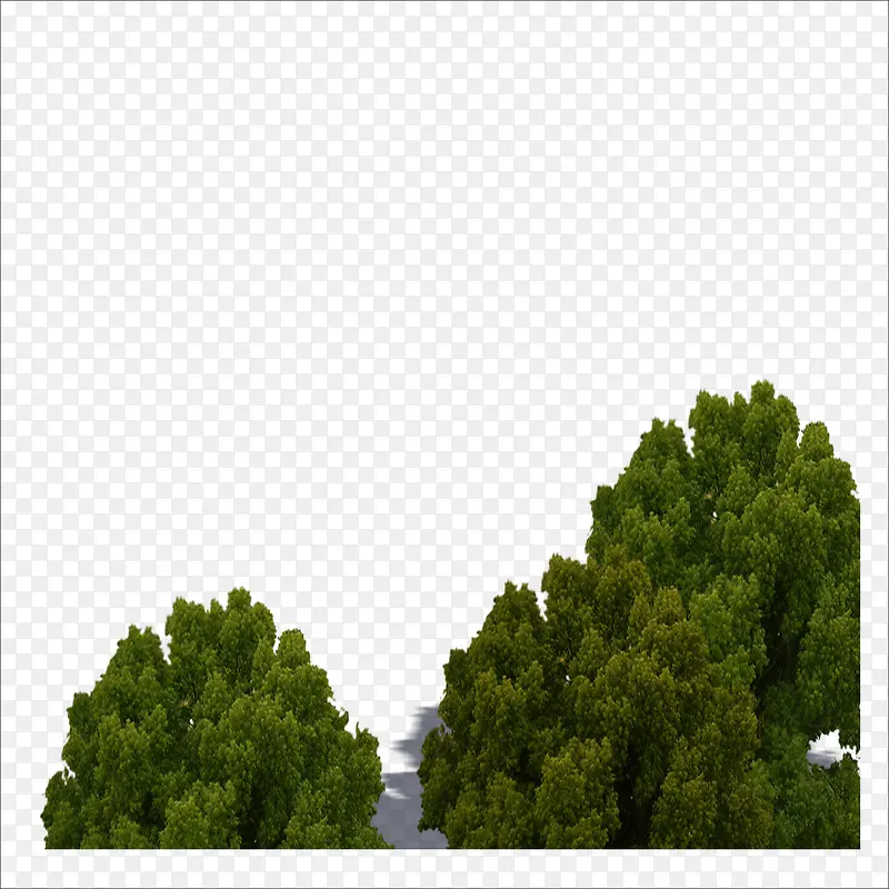 ����-������