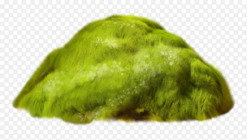 �ݶ�-������