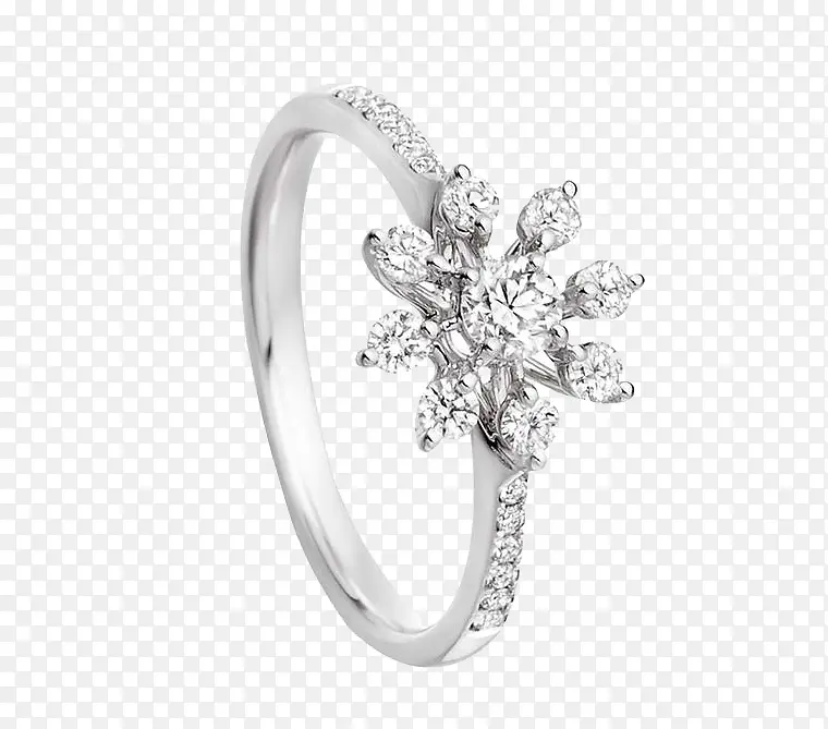 ��Ʒʵ�ﻨ����ʯ��ָ-������