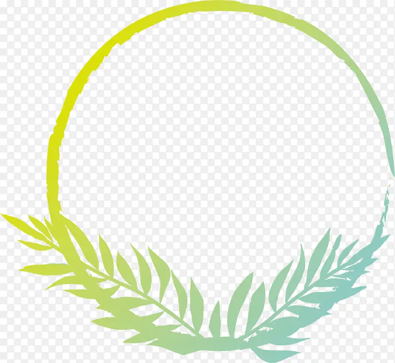 ��ɫ���������ݻ�-������