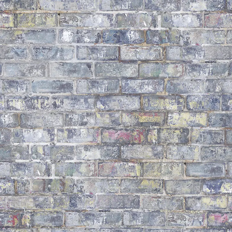 Ϳѻשǽ����-������