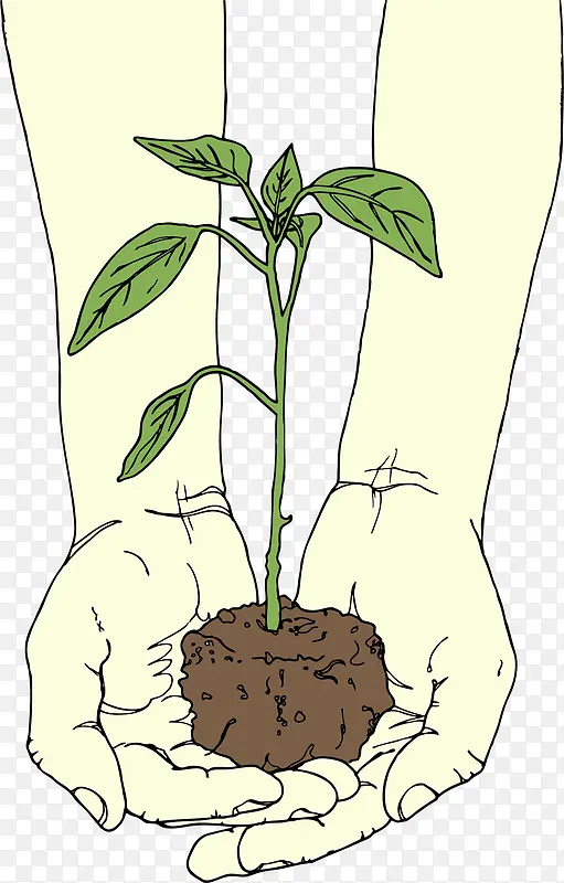 ʸ���ֻ���������-������