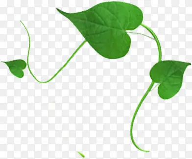 ��Ӱ���պ���С��������Ч��-������