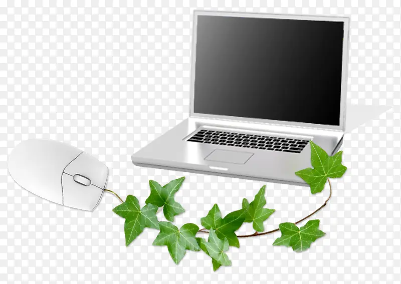 ��ɫ����-������