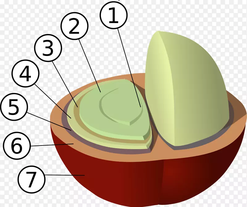 �����ȿ����ȶ������޲�˹�����ȶ�-������