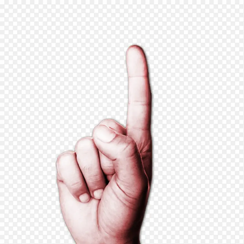 ��ָ-������