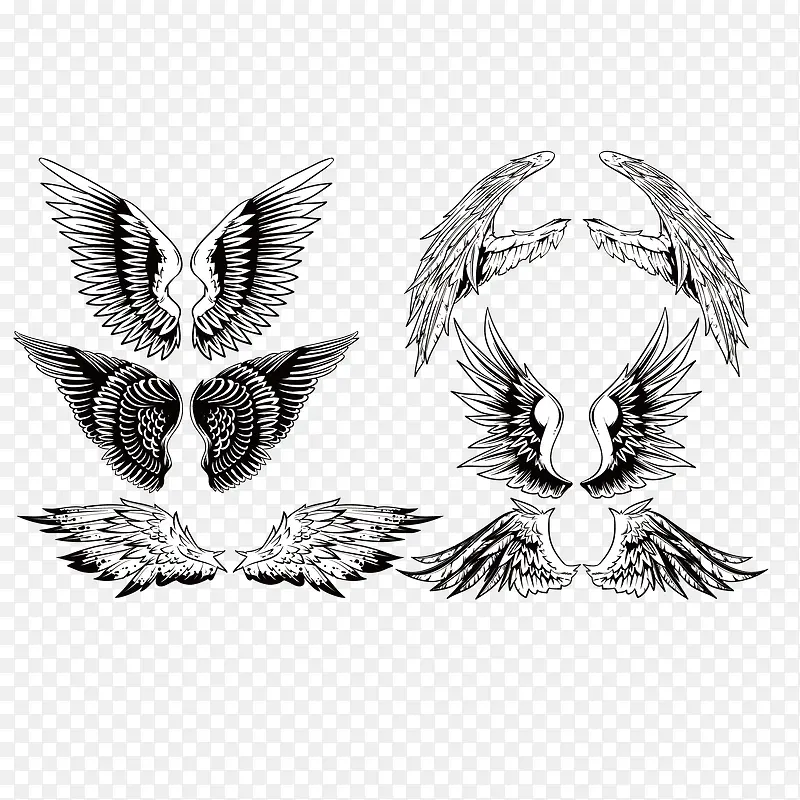 �ڰ׳��ʸ���ز�-������