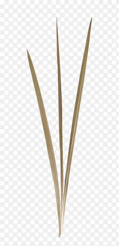 ��-������