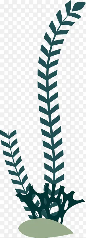 ���纣����һ�꺣��-������