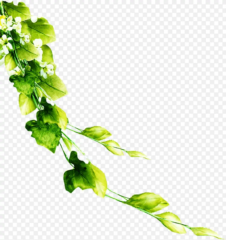 ��Ҷ�߽�װ��-������