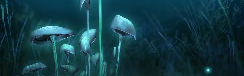 ��ɫҹ������-������