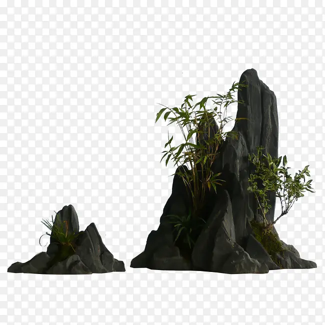 ��ɽ��֦-������