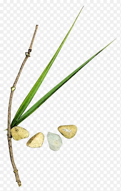 ��֦-������