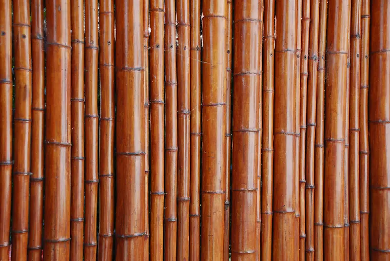 ��ͱ�������-������