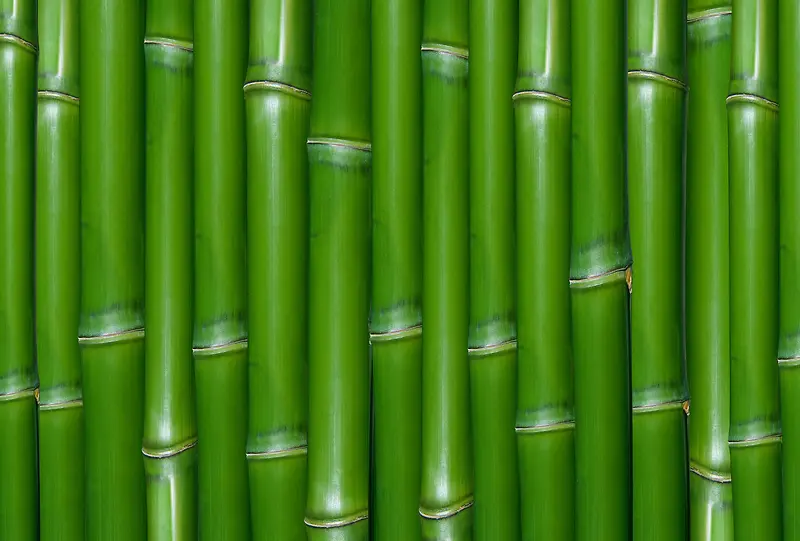 ���񱳾�-������