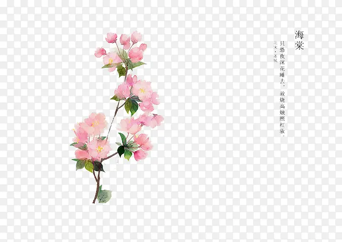 �ֻ滨��-������