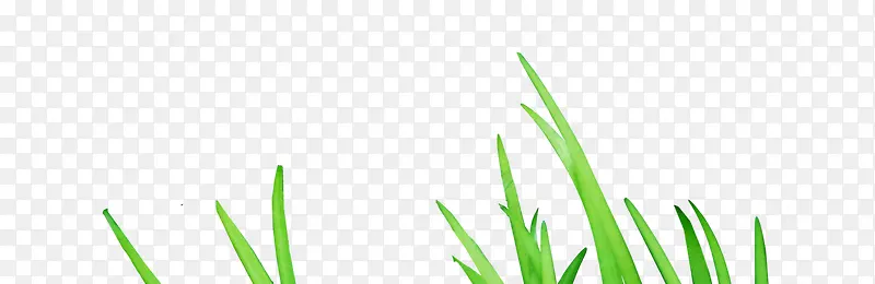 ��ɫ��Ҷ-������