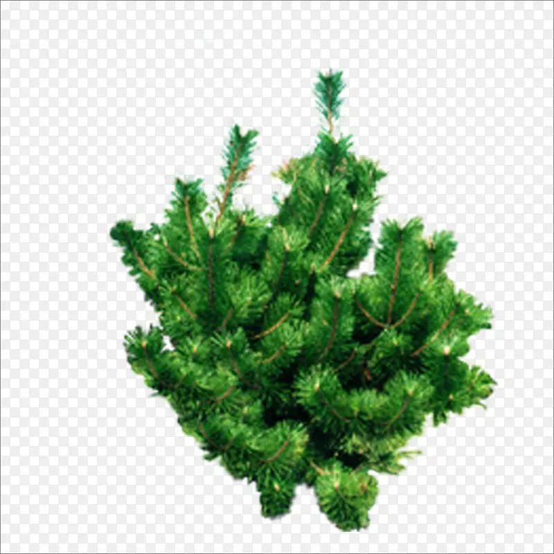 �̲�-������