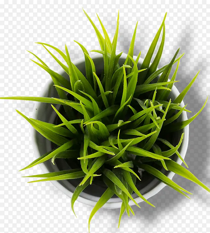 ����С��-������