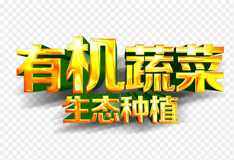 �л��߲���̬��ֲ-������