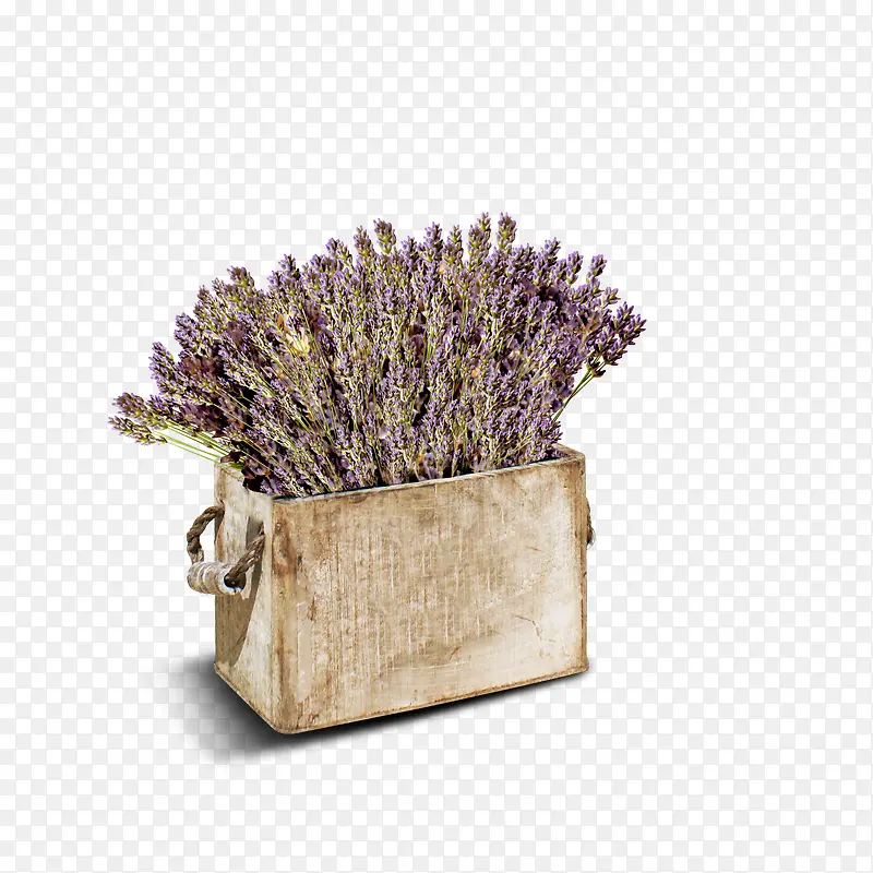 ޹�²�-������